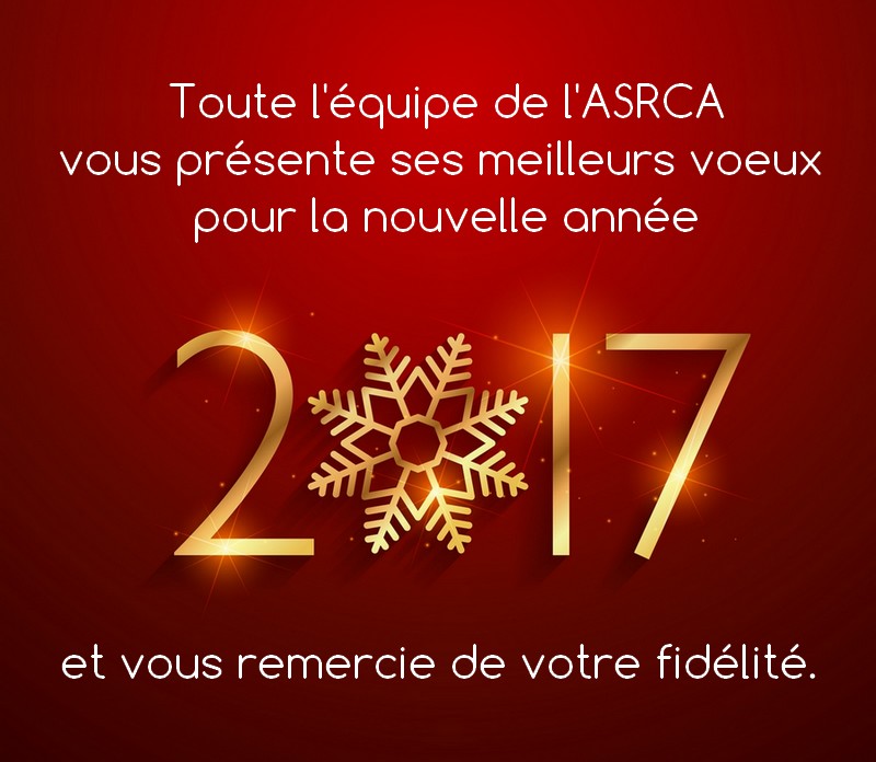 beautiful 2017 text in golden color with snowflake on red background